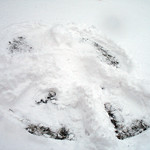 Snow Angels