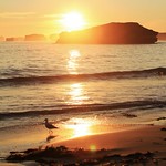 Cape Bridgewater sunset