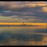 Frontera Dorada. Golden Frontier