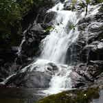 Waterfall within Cloud Forest