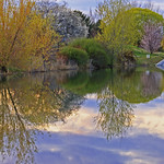 Perfection Reflection