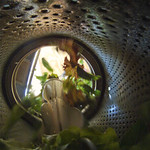 20110506-RD-LSC-0040