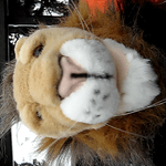 Hi, I'm Michael Rogan