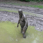 mud pool