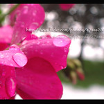 D o y o u f e e l g o o d w h e n I h u r t