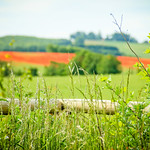 HFF 161/365~Explored