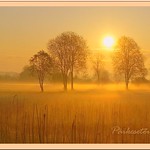 p&auml;ikeset&otilde;us ... j&auml;lle ...