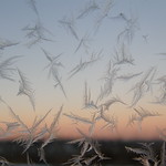 Feather Frost