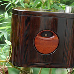 Chamaeleon Panorama 6x6/2 Serial #117