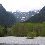 British Columbia Temperate Rain Forest
