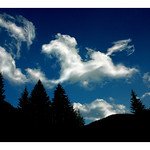 Dancing Horse in Heaven