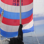 Flying the Spinnaker 3