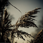 the sum of all fears