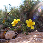 Wish you a Sunny Friday!!