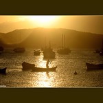 Golden Times At The Sea ~