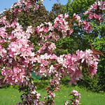 Le printemps en pleine forme!