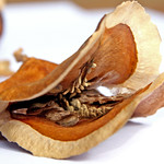 Smiling monster EXPLORE May 27th, 2007