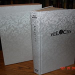 Velocity by Dean Koontz