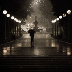 A Rainy Day In Sydney