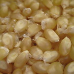 kernels
