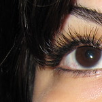 lashes