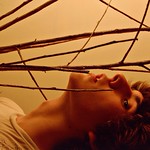 Winter Branches Coming