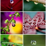 Weekend Eye Candy - water