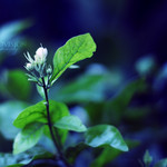 Within you there is a stillness and a sanctuary to which you can retreat at any time and be yourself