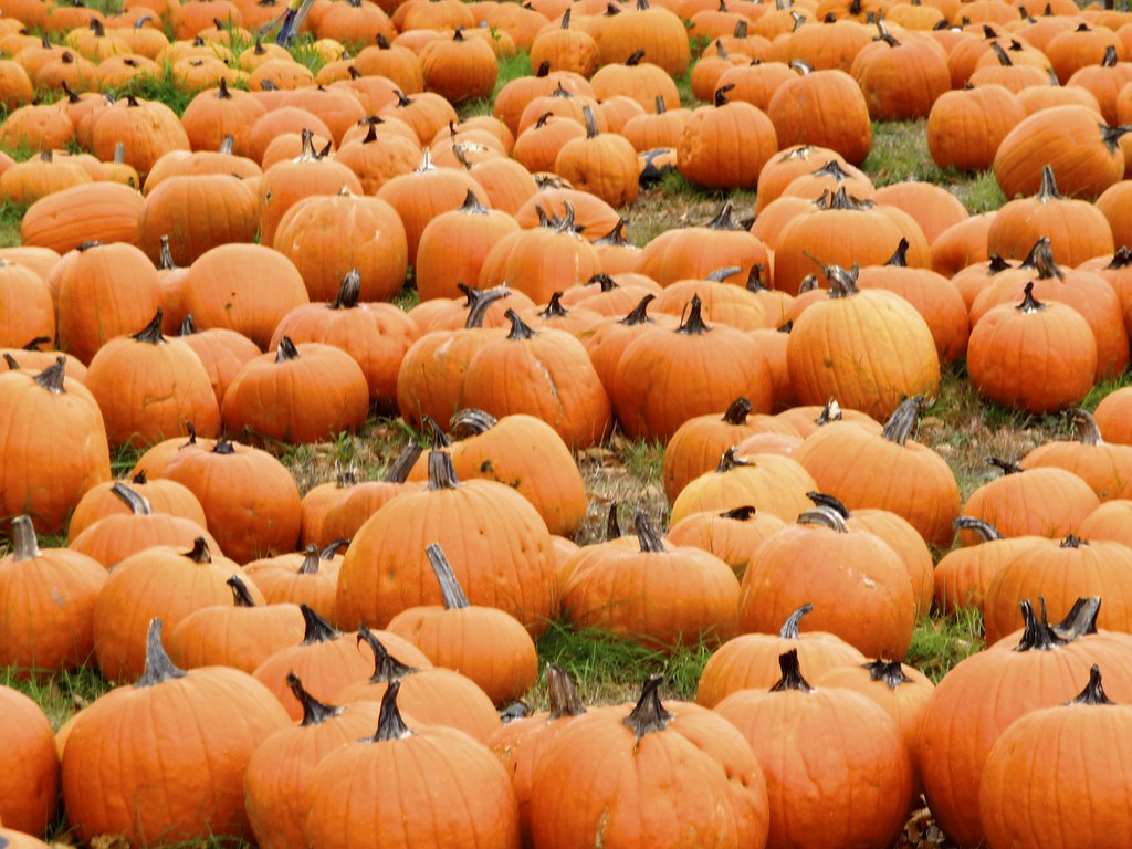 Down East in Maine Where Is Kyle Now?