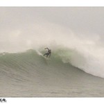 &copy; Magali Nouguier