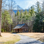 Carter Shields Cabin