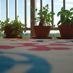 Parsley, Sage, Rosemary and Thyme