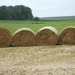 HAY