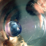 ahhhh we got Rats...