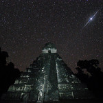 Deep in the Jungle Primeval. This is my 200th image to make it onto Explore! Thanks everyone for visiting my photostream!