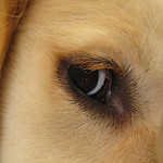 I Spy With My Little Eye