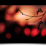 It's not easy to be me...