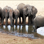 Time for a drink ...