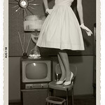 "June, Don't you think this Bench Monday group of yours is setting a bad example for the Beaver?"