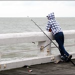 Patiently waiting for his Dinner, Ostend Belgium