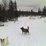 My first walk in the snow