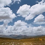 DEOSAI
