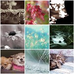 Things I Love Thursday:-)