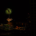 palm tree and grass fireworks 2009 Aug 01 - 6005 - Chicago