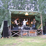 En ljummen i gr&auml;set