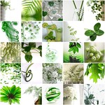 Love white & green
