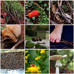 My smell map for Wednesday