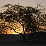 sunrise or sunset, does it make a difference =|