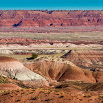 Painted desert