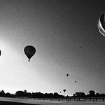 balloons at dawn